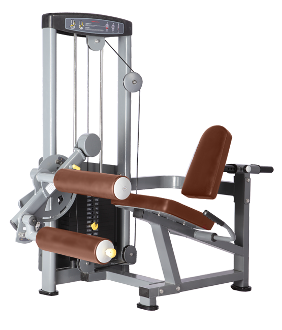 Seated leg curl Bronze Gym D-013