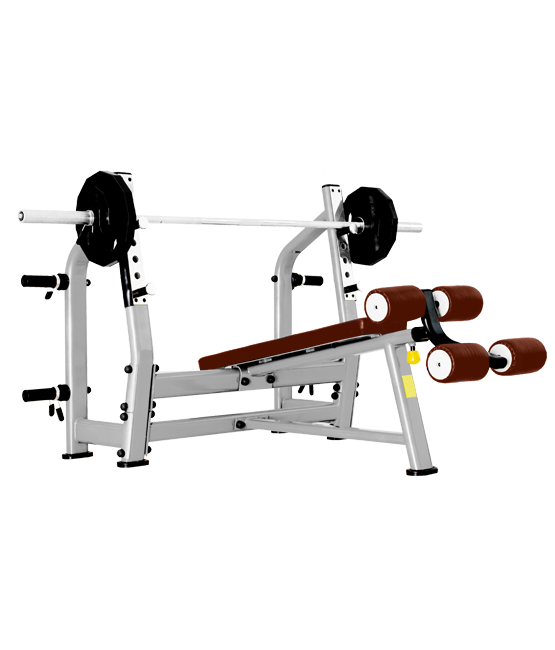Negative Incline Press Bench Bronze Gym J-024