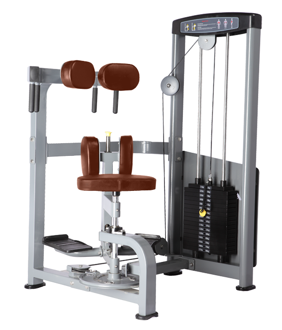 Torso machine Bronze Gym D-011