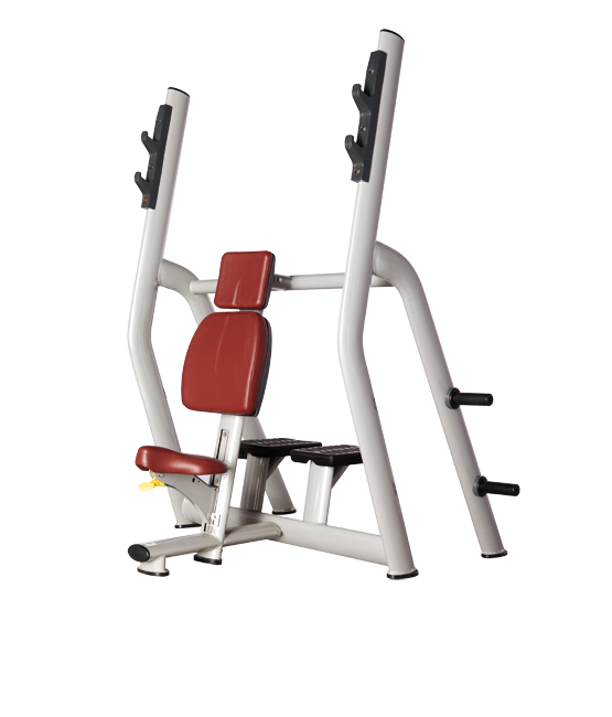 Vertical bench press Bronze Gym H-025B