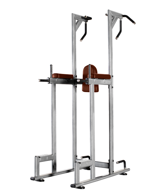 Horizontal bar/press/parallels Bronze Gym J-027